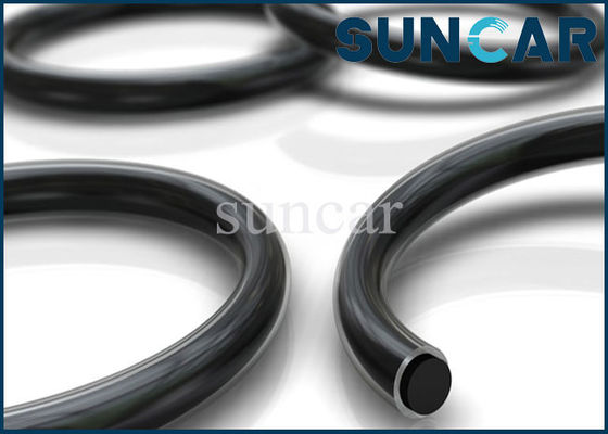 কেনা সিলিংয়ের জন্য রিং সিএস 2 ও-রিং সিল কিট online manufacture